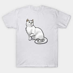 Cat - European Shorthair - White T-Shirt